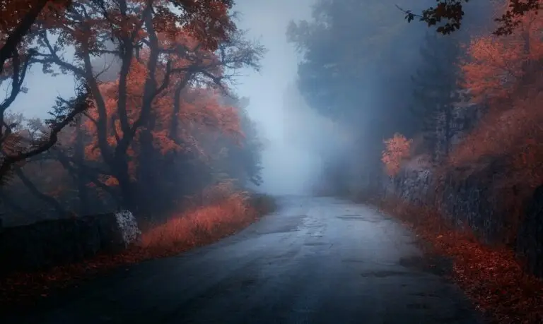 Driving in fog